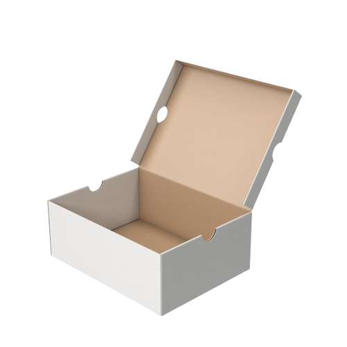 Premium Shoe Box